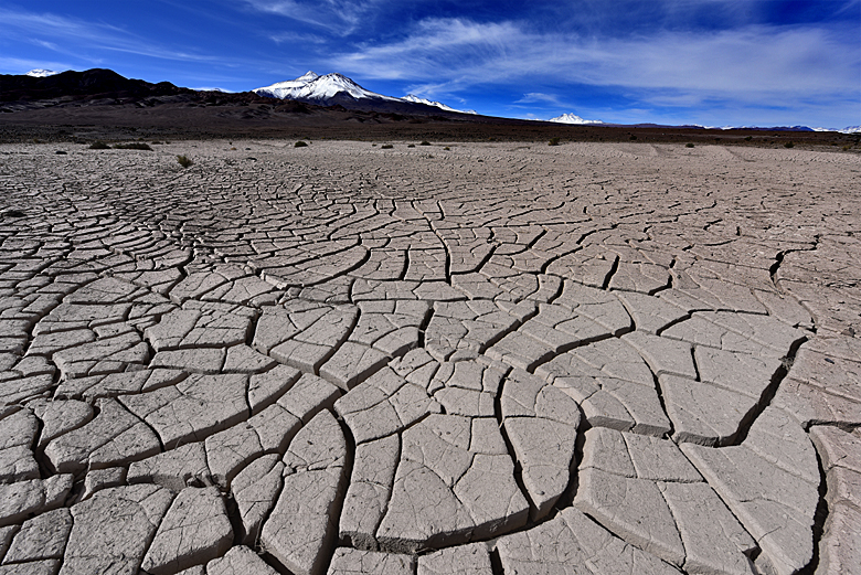 Dans le désert de l'Atacama