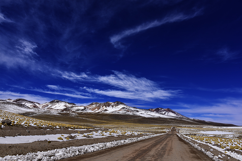 Sur l'altiplano