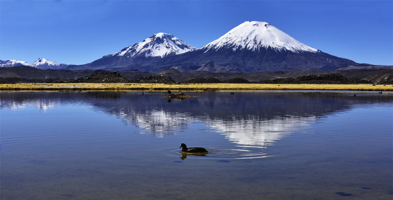 Sous les volcans Parinacota et Pomerape