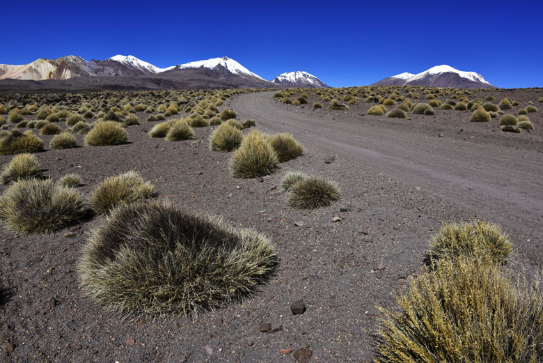 A quelques kilomètres de la Bolivie