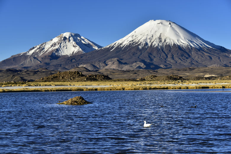 Sous les volcans Parinacota et Pomerape