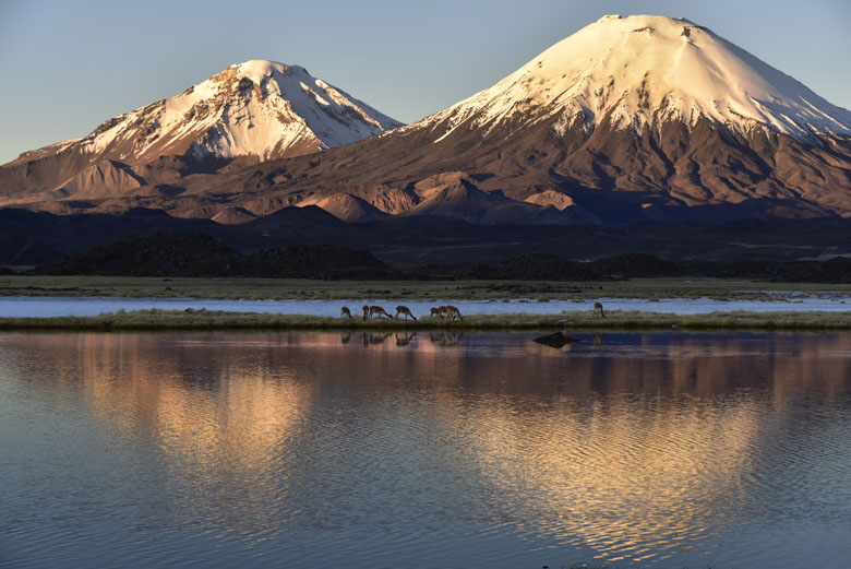 Sous les volcans Parinacota et Pomerape