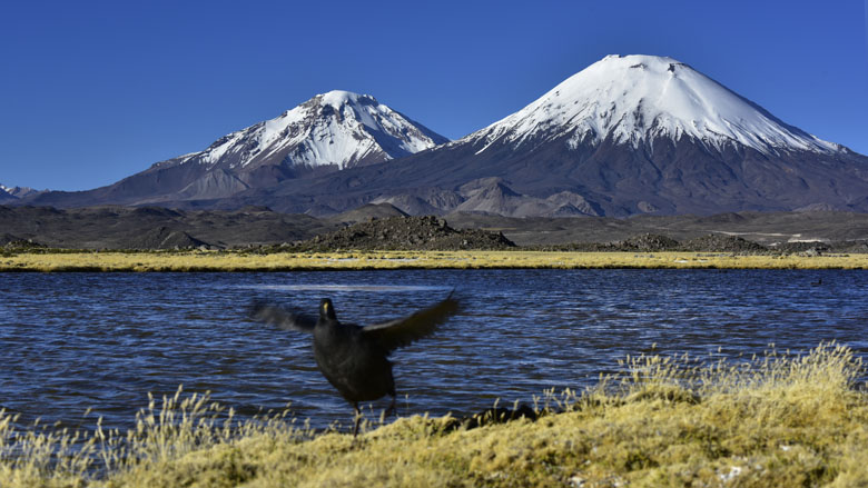 Sous le volcan Parinacota...