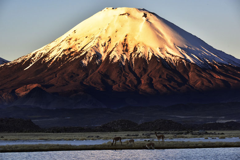 Le volcan Parinacota