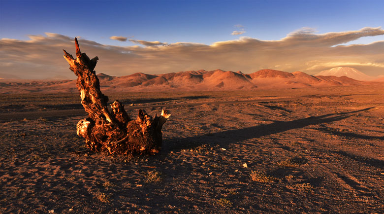 Non loin de San Pedro de Atacama