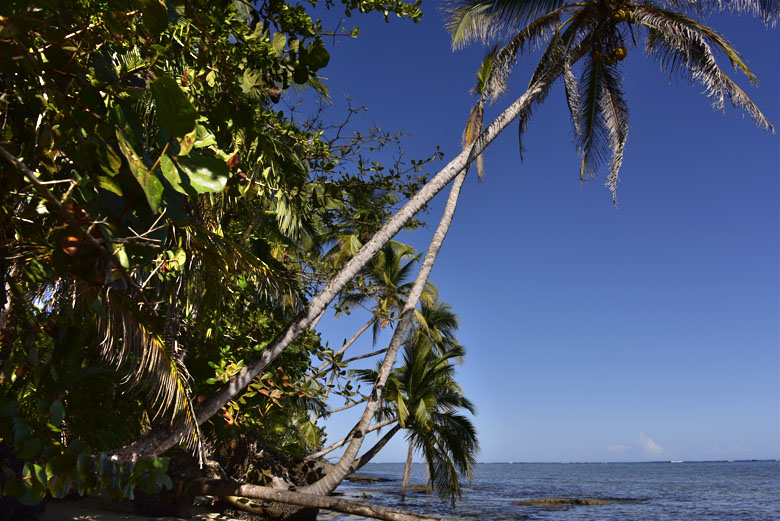 Sur la côte Caraïbes