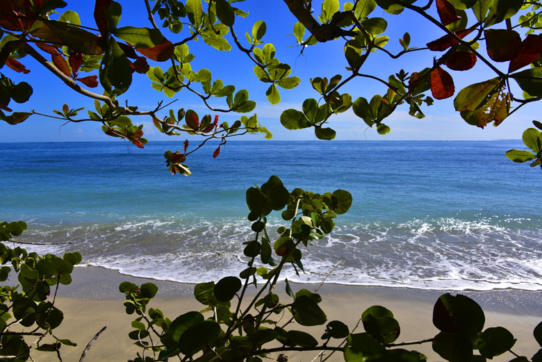 Sur la côte Caraïbes