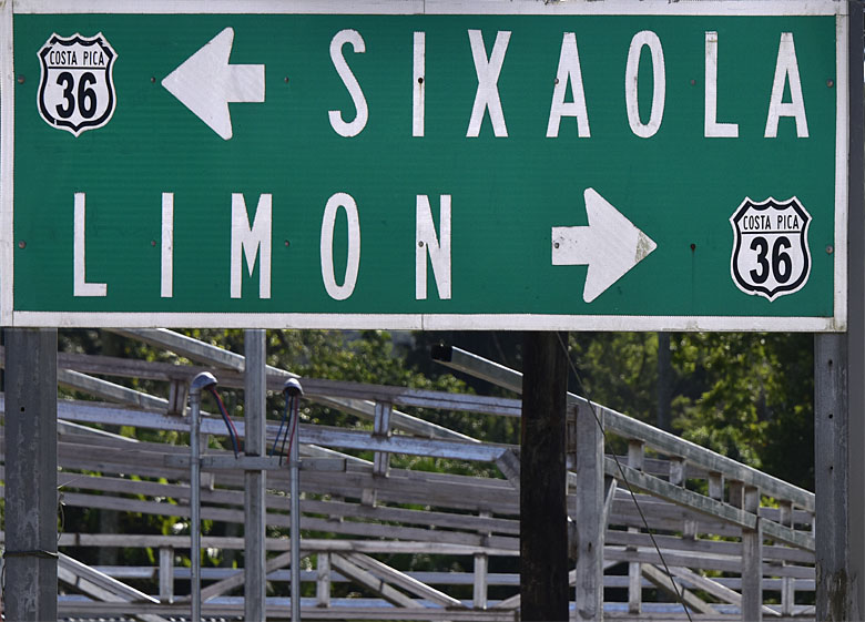 Limon, c'est par là !