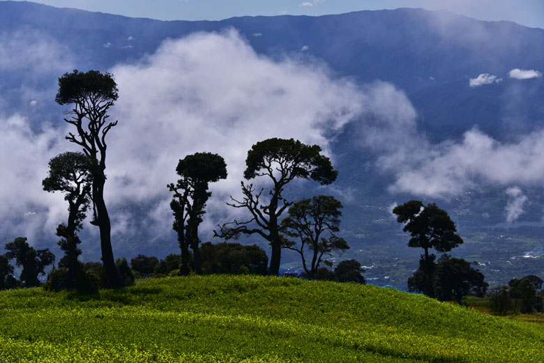 Sur les pentes du volcan Irrazu