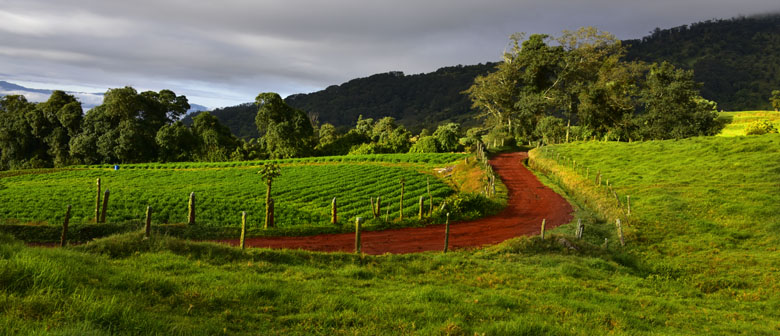 Sur les pentes du volcan Turrialba