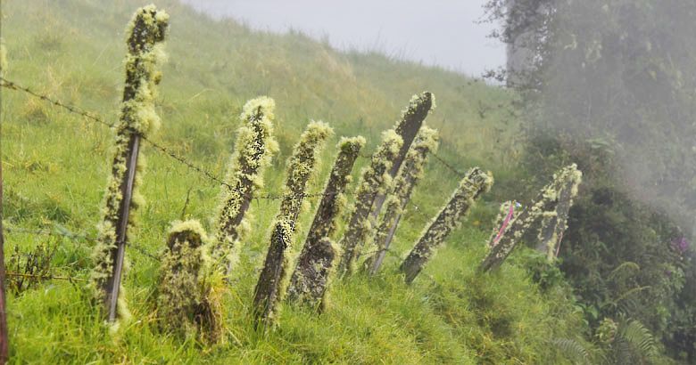 Dans la brume, près du sommet du volcan Turrialba