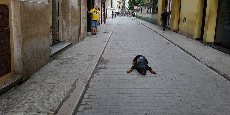 La sieste !