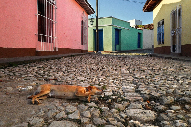 La sieste !