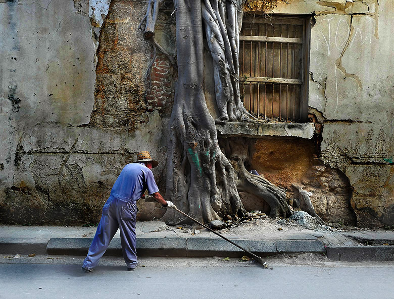 Du balai... mais l'arbre va rester un bon moment