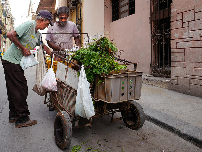 Marché dans la rue