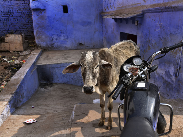 Au centre de Bundi
