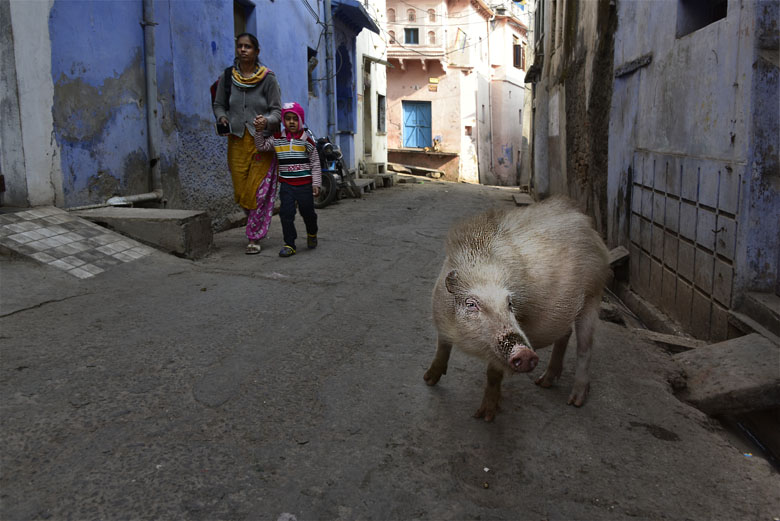 Dans une rue au centre de Bundi