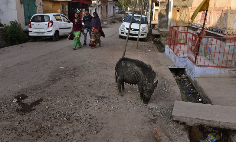 Dans une rue au centre de Bundi