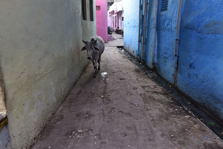 Au centre de Bundi