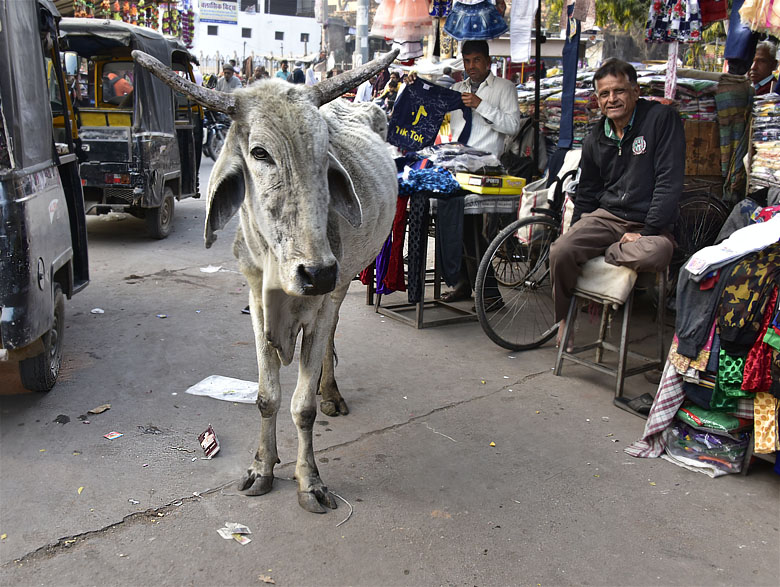 Sur le marché de Bundi