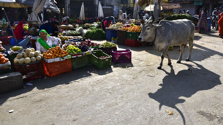 Sur le marché d'Udaipur