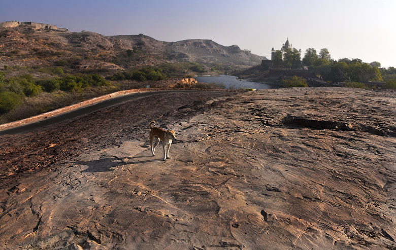 Jaswant Thada au petit matin