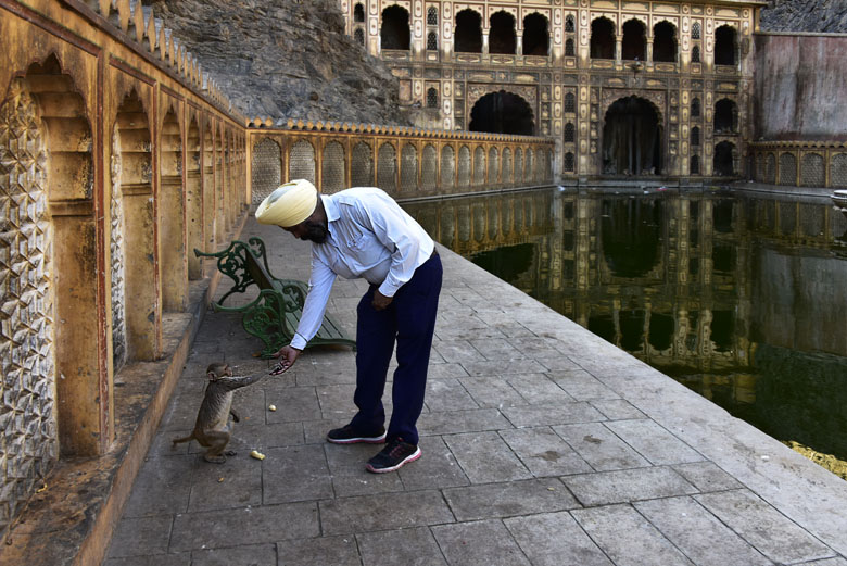 Galta Ji, ''Monkey temple'' à Khania-Balaji près de Jaipur