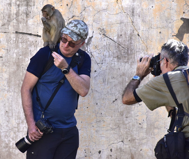 Une rencontre au ''monkey temple''