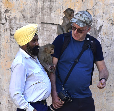 Une rencontre au ''monkey temple'' Une rencontre au ''monkey temple''