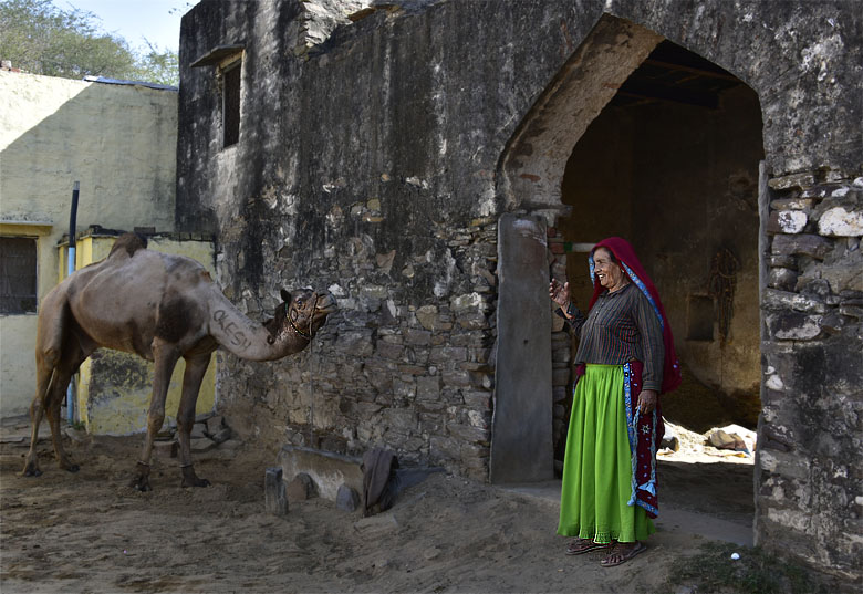 Dans le village de Neemrana