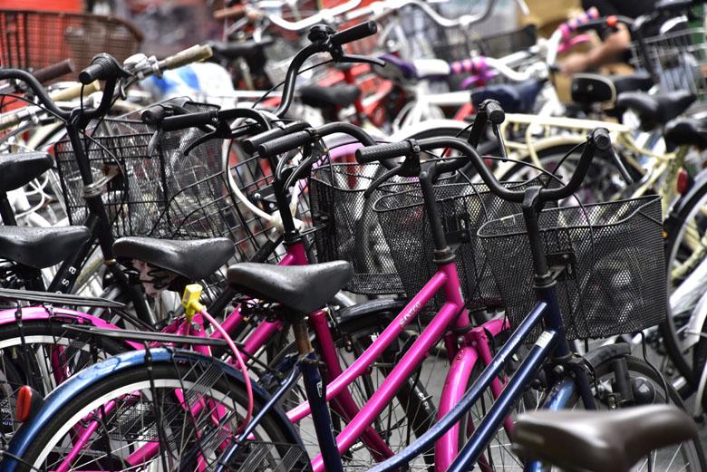 Forêt de vélos !