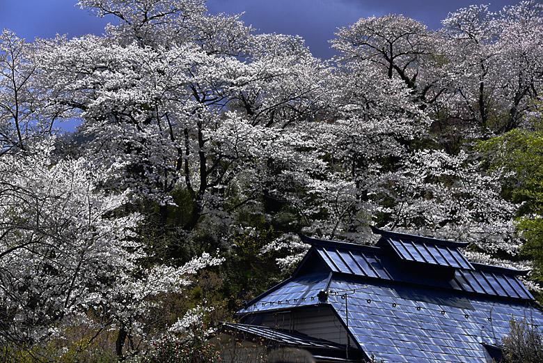 Fukushima : on y est !