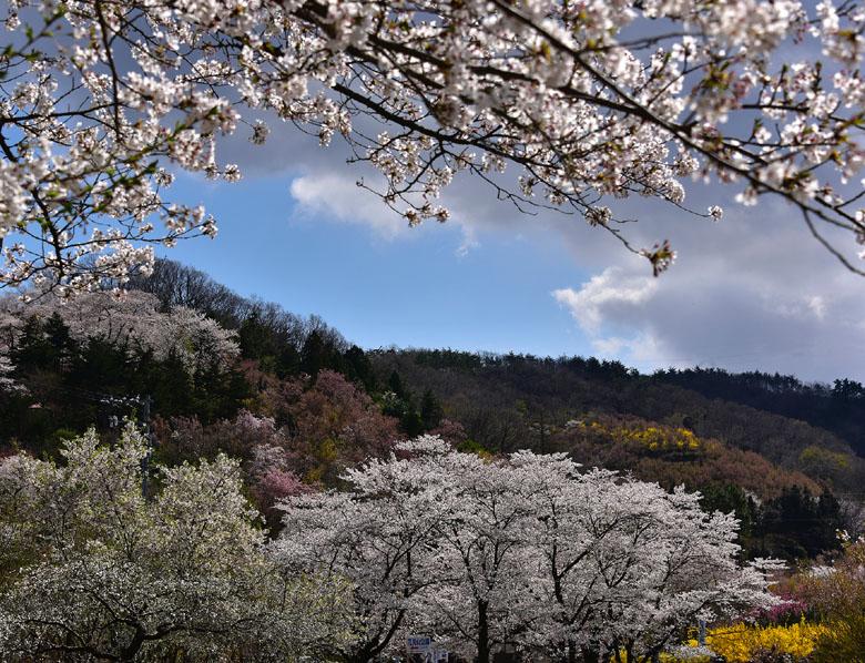 Fukushima : on y est !