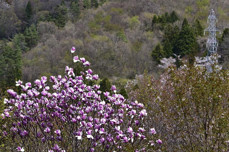 Fukushima : on y est !
