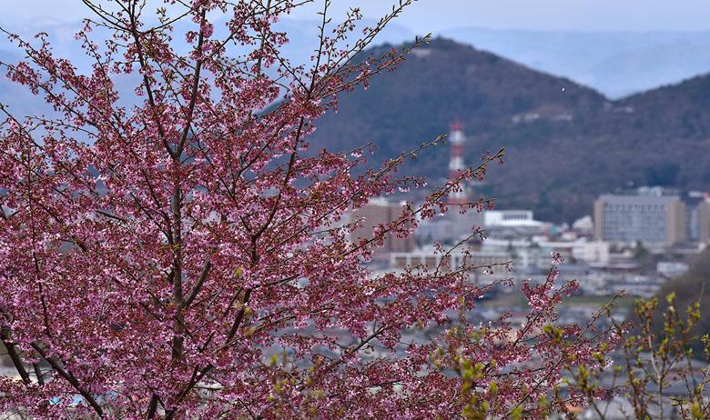 Fukushima : on y est !