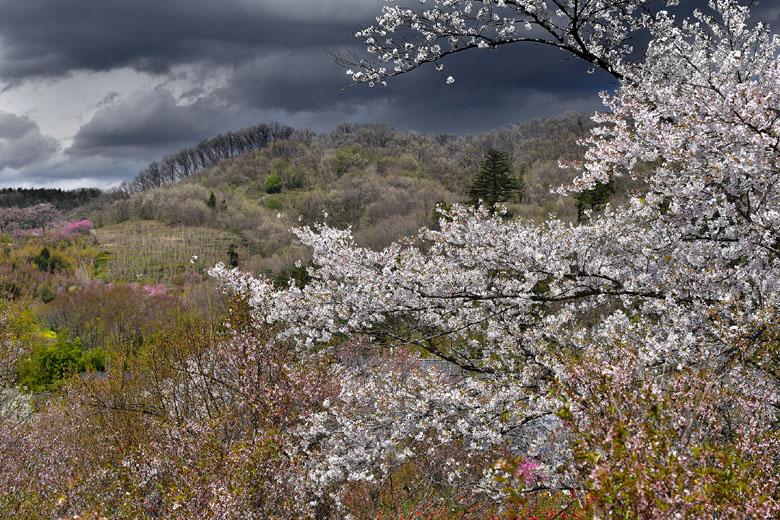 Fukushima : on y est !