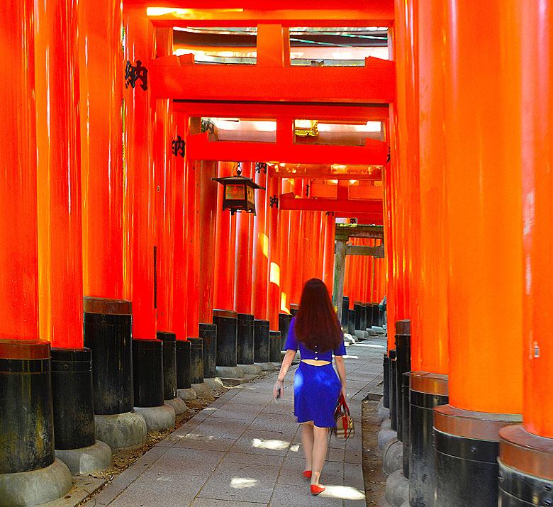 Série de torii(s)