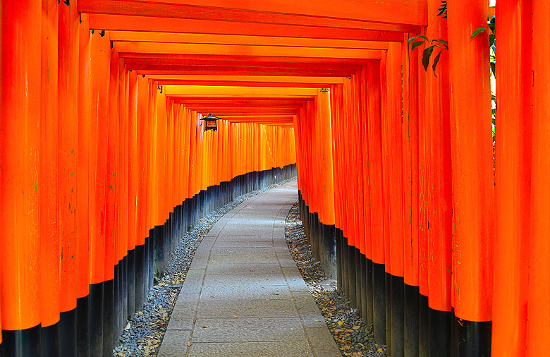 Série de torii(s)