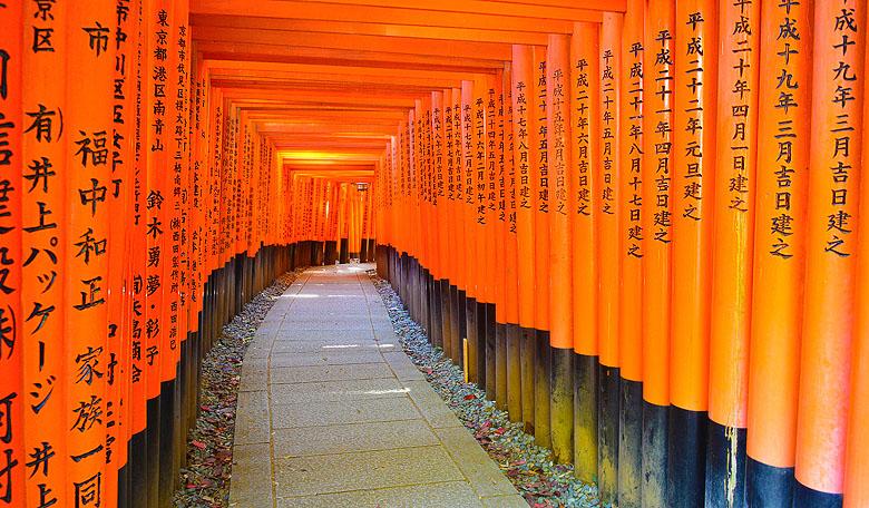 Série de torii(s)