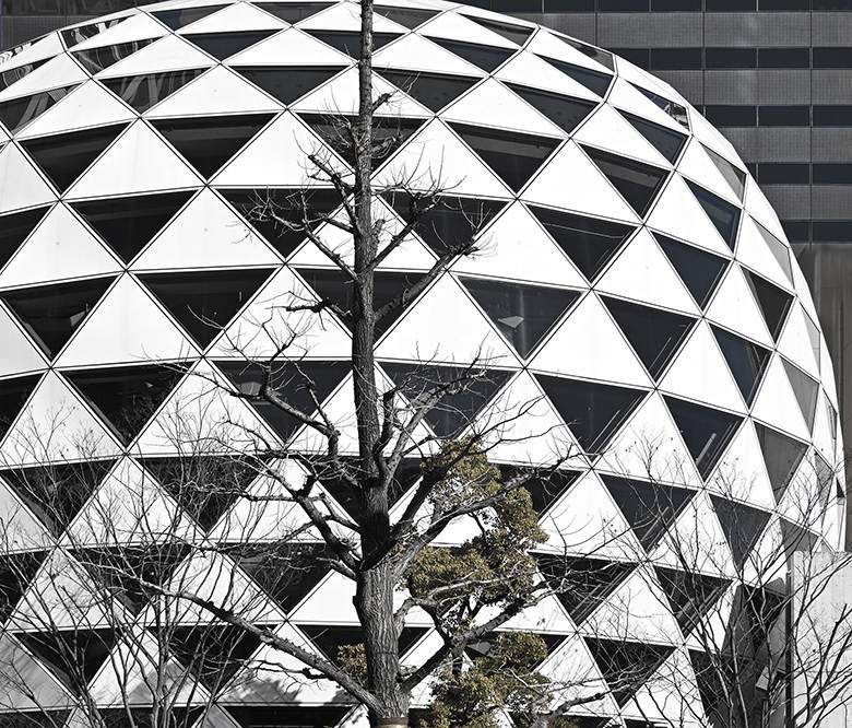 Le ''monde civilisé'' : la nature vaincra !!!