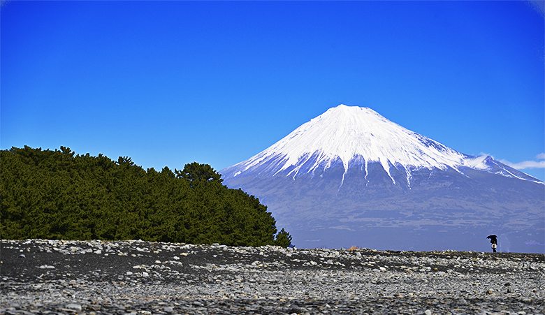 Le mont Fuji vu de la plage Miho