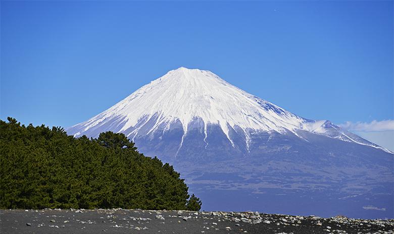 Le mont Fuji vu de Shimizu