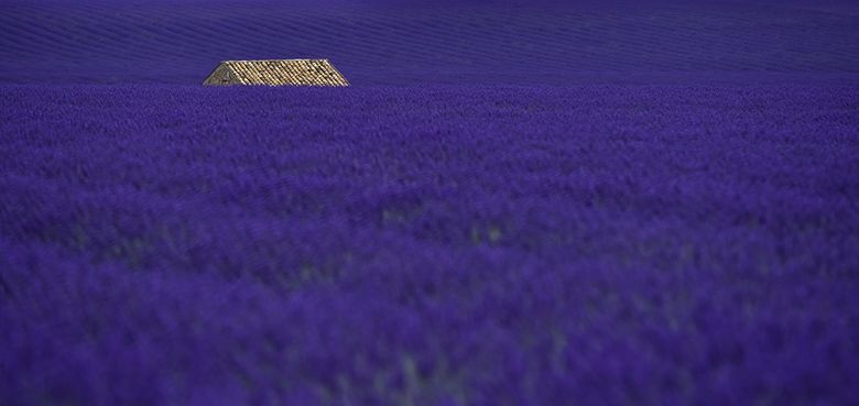 Dans le grand bleu !