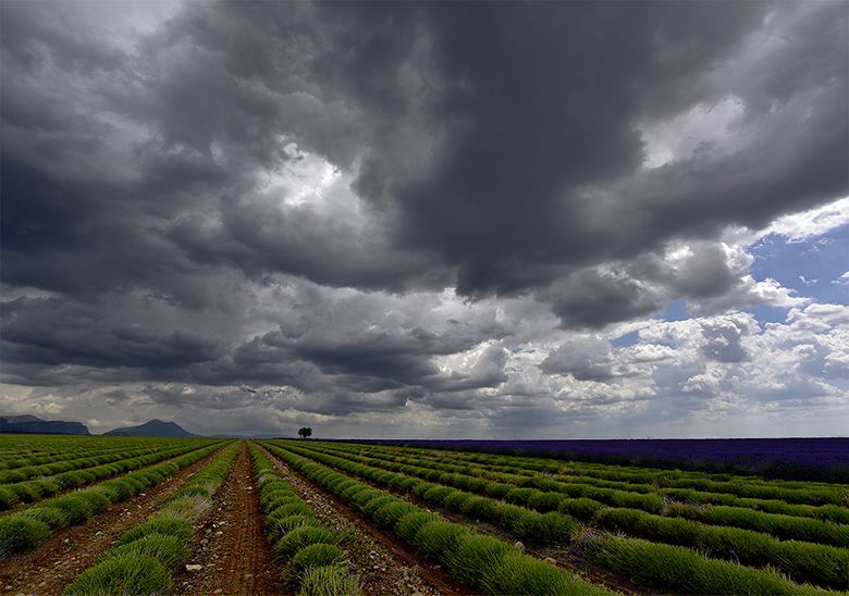 ...sous un ciel menaçant