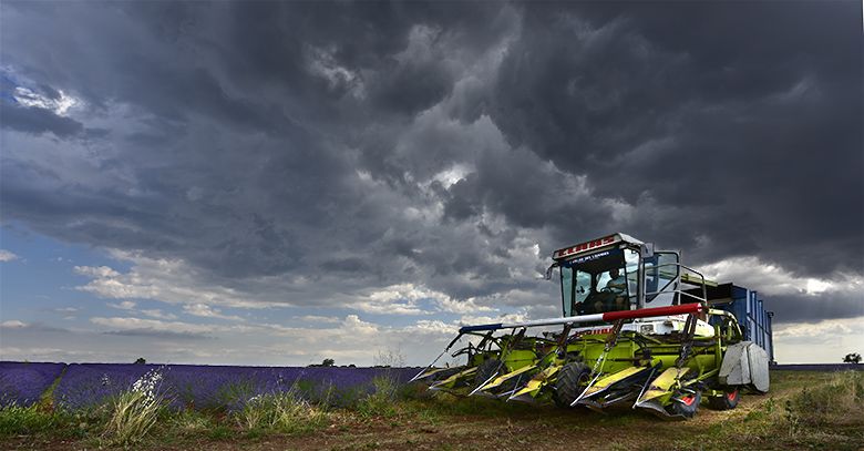 Et voici la machine à couper