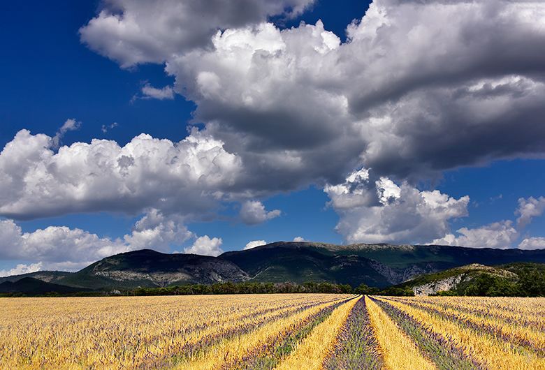 Jaune et bleu