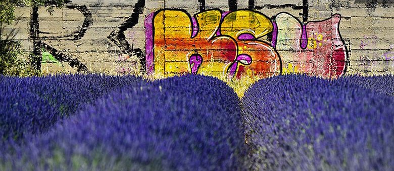 Graffiti dans les lavandes