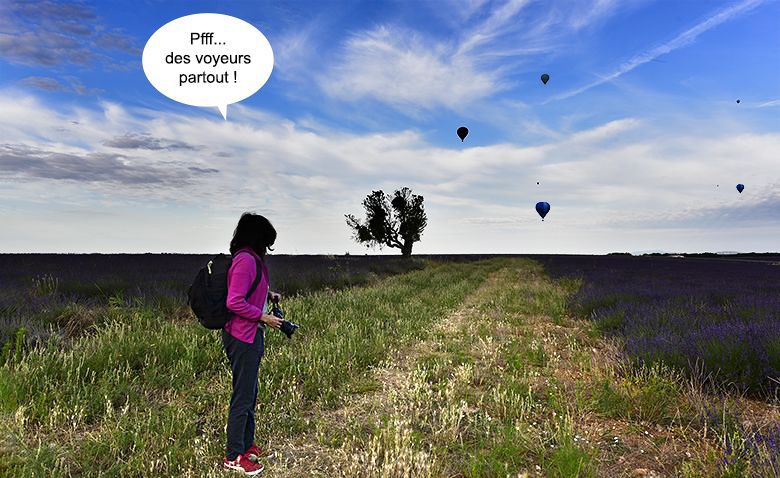 Plateau sous surveillance