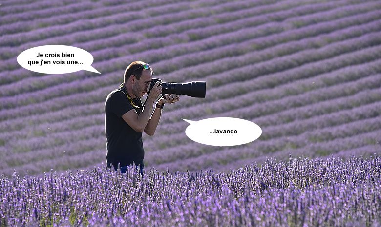 Photographe animalier à l'affut