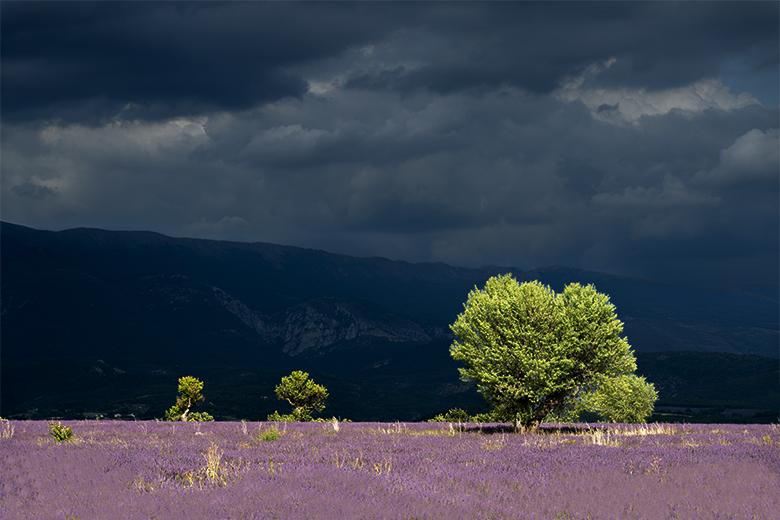 Lumière d'orage